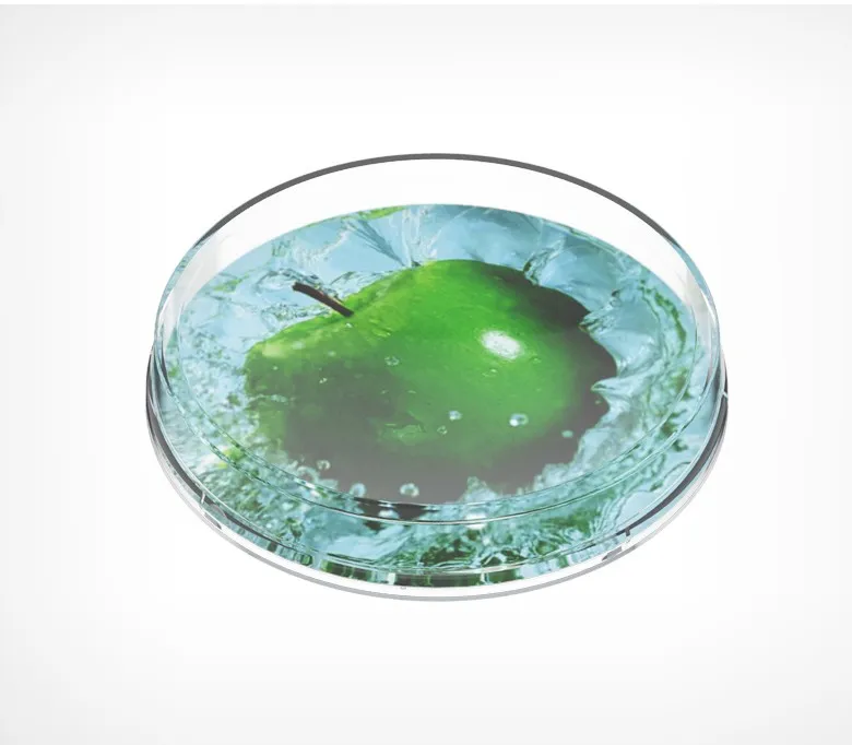 Монетница круглая RONDA, диаметр 172мм, высота 24 мм