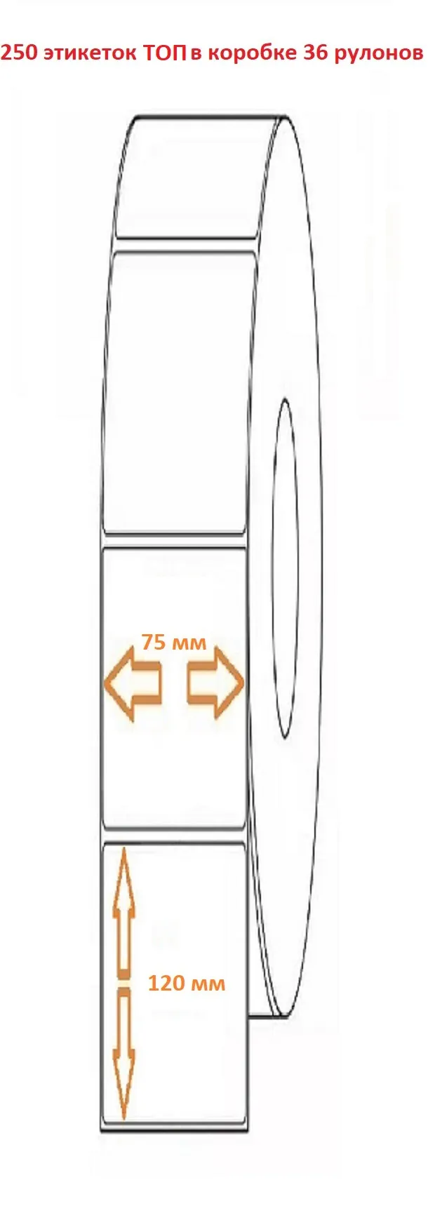 Термоэтикетка 75х120 (250эт.) ТОП (36рул.)