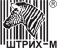 ШТРИХ-М