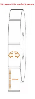 75х120 300