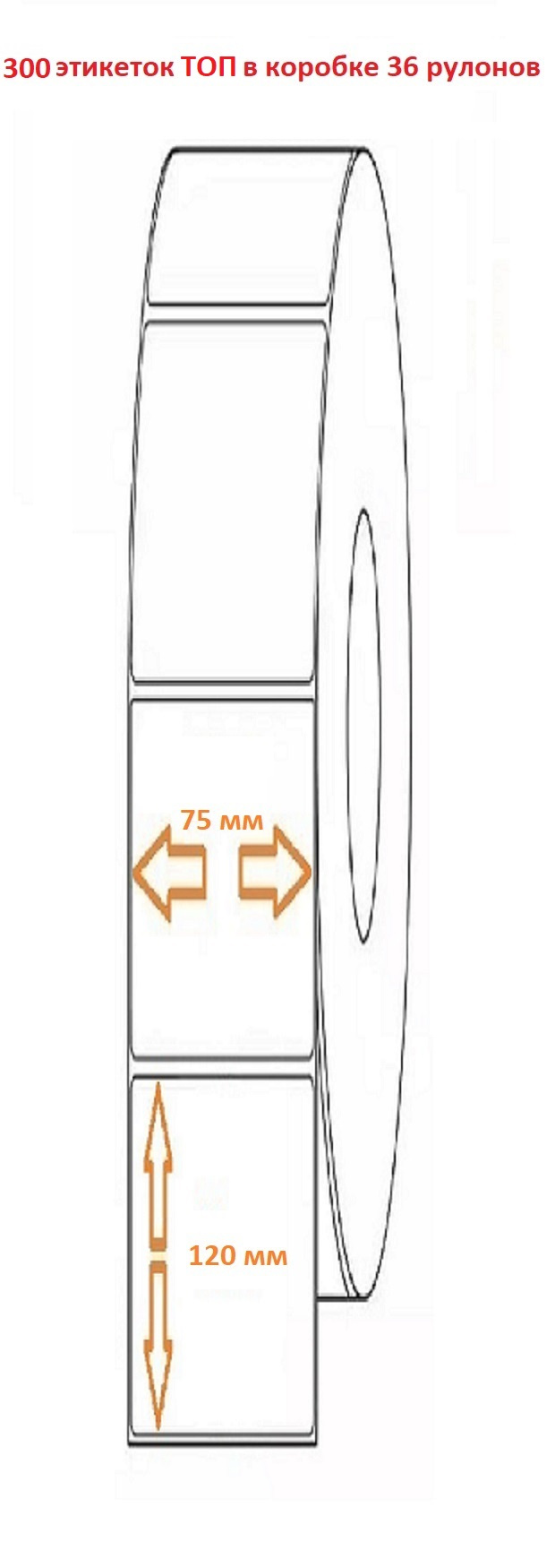 Термоэтикетка 75х120 (300эт.) ТОП (36рул.)