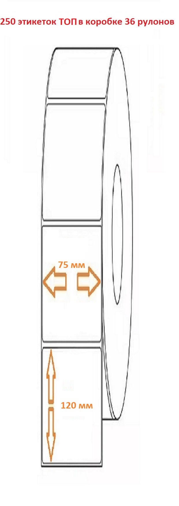 Термоэтикетка 75х120 (250эт.) ТОП (36рул.)